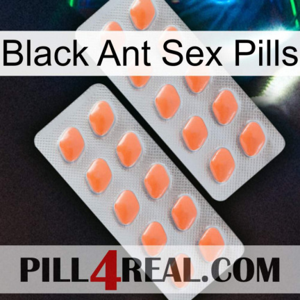 Black Ant Sex Pills 27